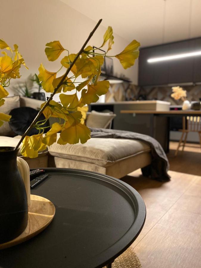 Boosko Me 2 Apartment Busko Zdroj Ngoại thất bức ảnh
